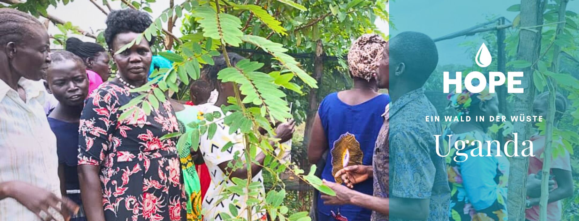 UGANDA, Bäume Pflanzen, Wald in der Wüste, Hoffnung, Leben