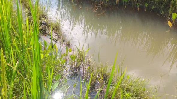 	 Stark verschmutztes Trinkwasser