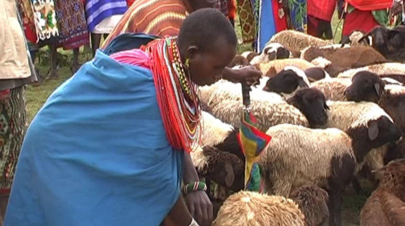 Lebensmittel gegen die Folgen der D&uuml;rre in Nasurai