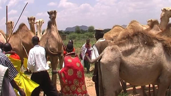 Lebensmittel gegen die Folgen der D&uuml;rre in Nasurai
