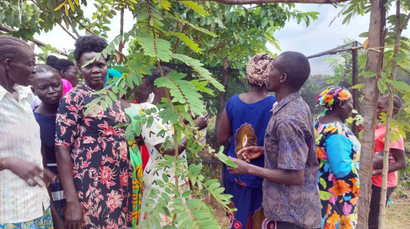 B&auml;ume pflanzen - Hoffnung pflanzen