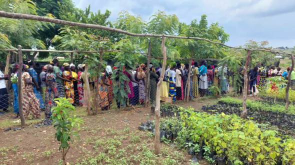 B&auml;ume pflanzen - Hoffnung pflanzen