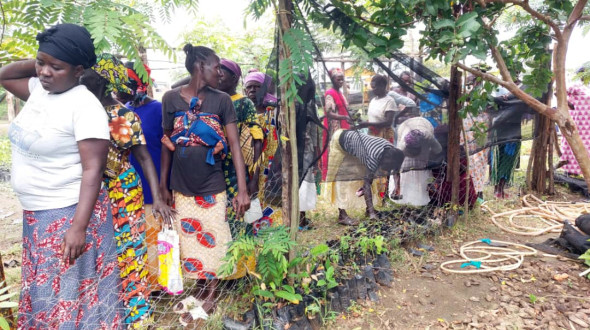 B&auml;ume pflanzen - Hoffnung pflanzen