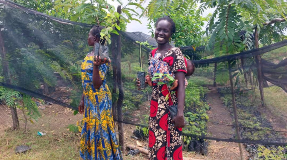 B&auml;ume pflanzen - Hoffnung pflanzen